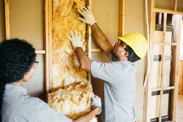 Insulation Replacement Services in Edmonds, WA